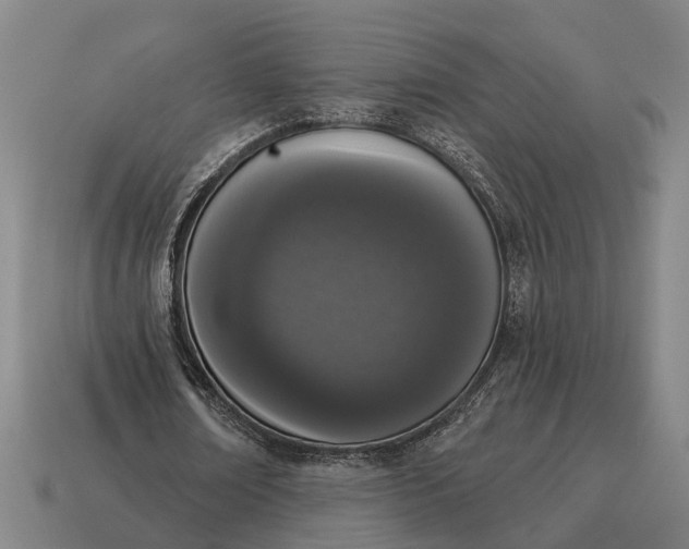 X0000115110674200911101606