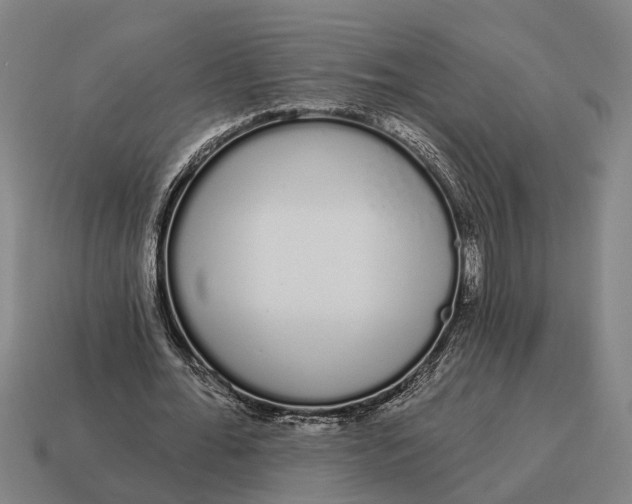 X0000115110676200911101606