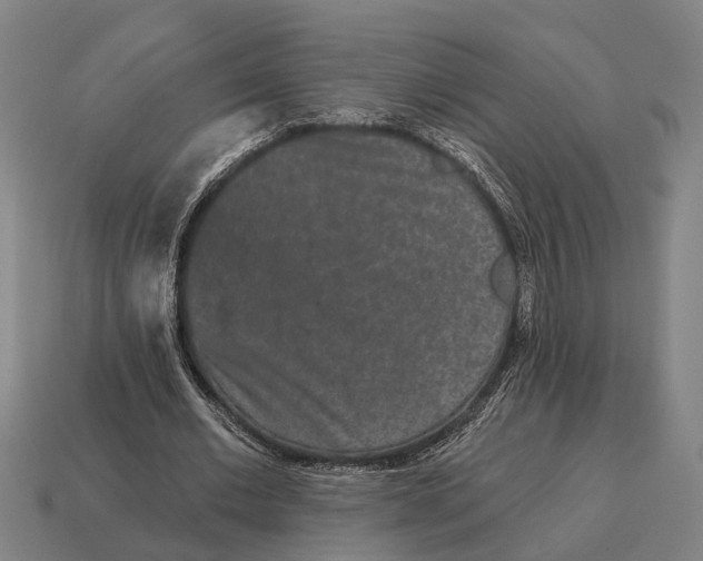 X0000115110677200911101606