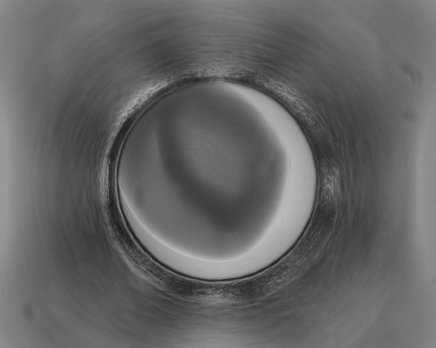 X0000115110678200911101606