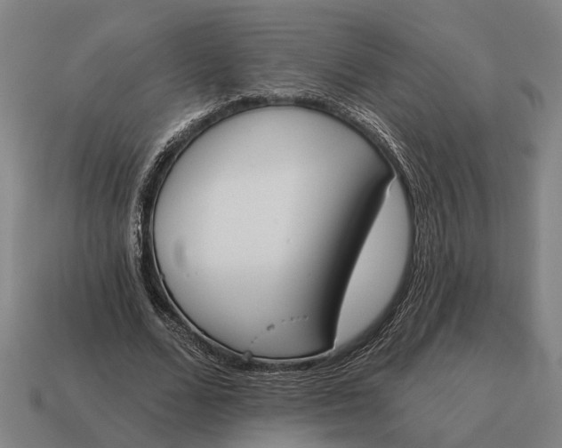 X0000115110680200911101606