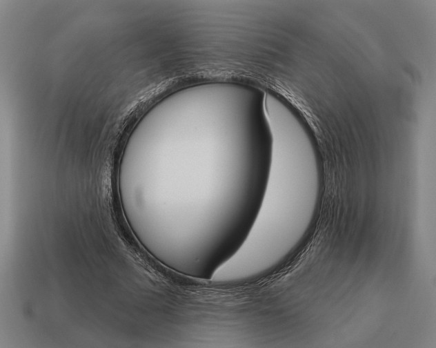 X0000115110681200911101606