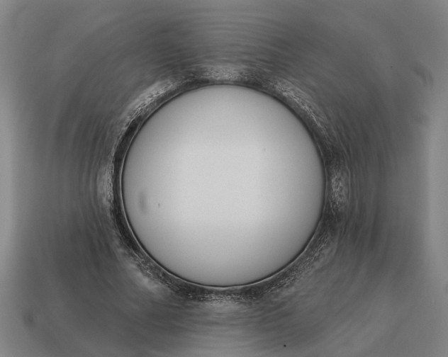 X0000115110682200911101606