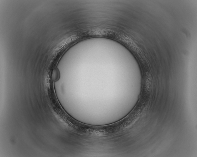 X0000115110683200911101606