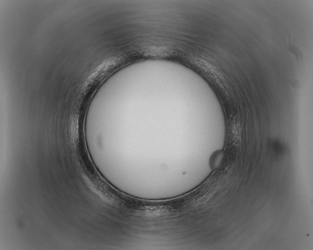X0000115110686200911101606
