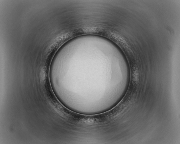 X0000115110687200911101606