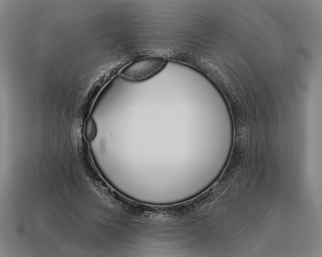 X0000115110688200911101606