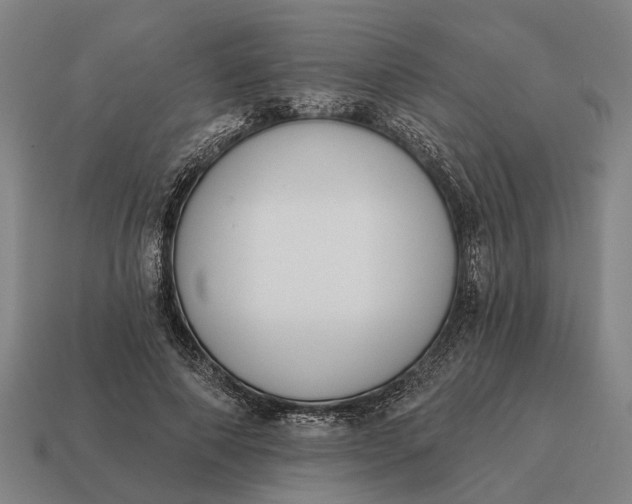 X0000115110690200911101606