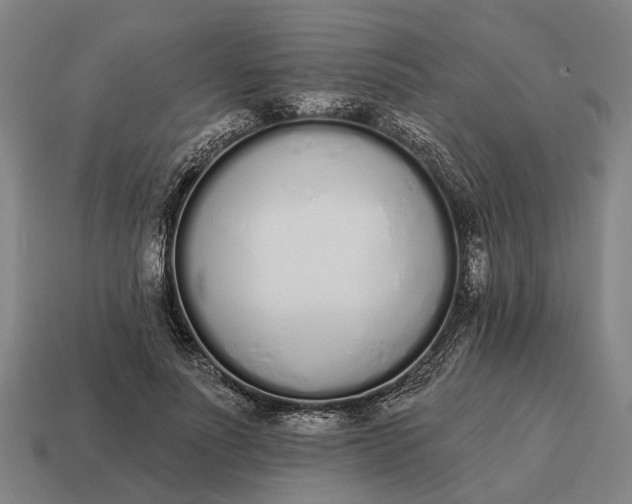 X0000115110691200911101606