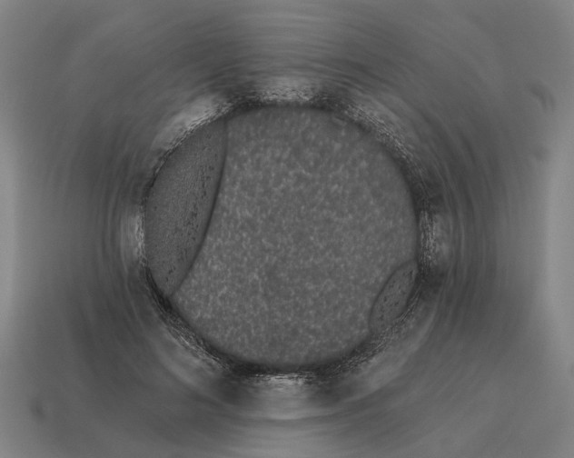 X0000115110692200911101606