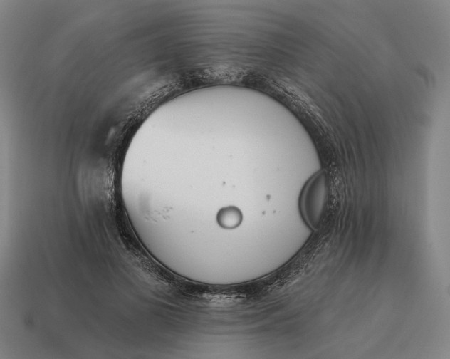 X0000115110693200911101606
