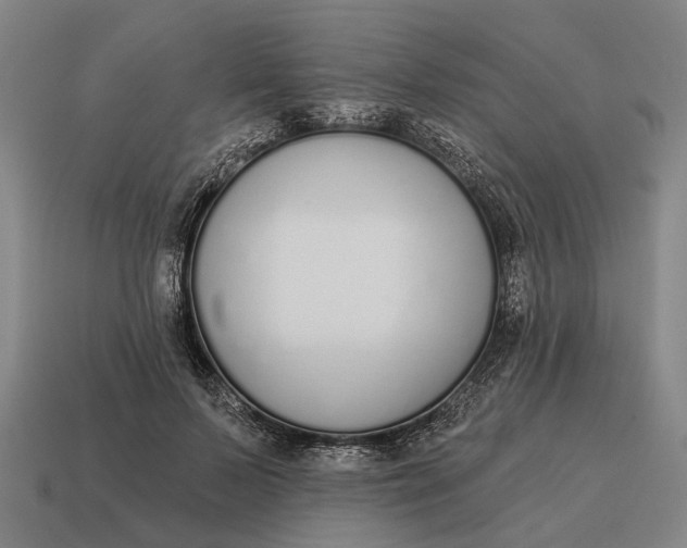 X0000115110695200911101606