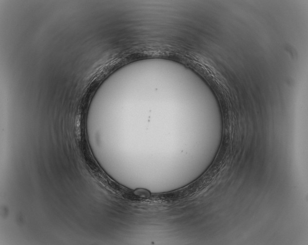 X0000115110696200911101606