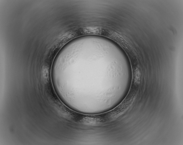 X0000115110699200911101606