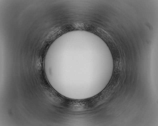 X0000115110702200911101606