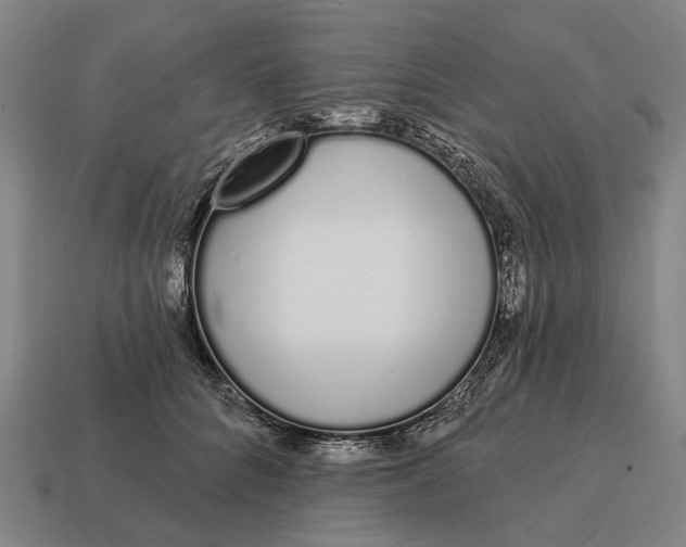 X0000115110704200911101606