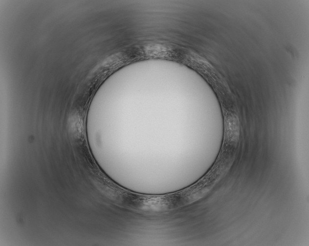 X0000115110705200911101606