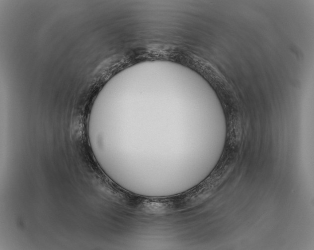 X0000115110706200911101606