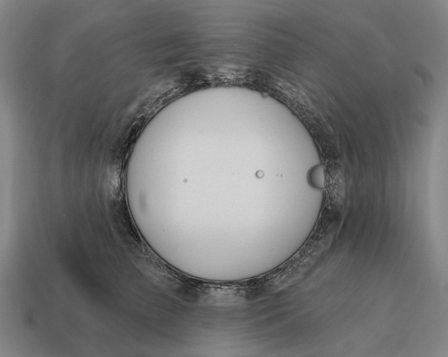 X0000115110709200911101606