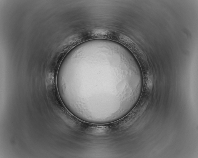 X0000115110711200911101606