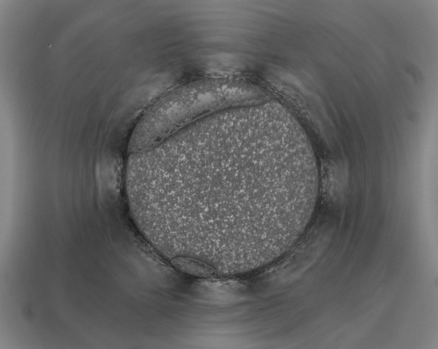 X0000115110712200911101606