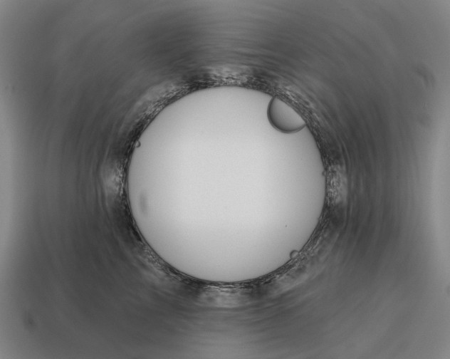 X0000115110713200911101606