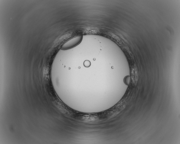 X0000115110714200911101606