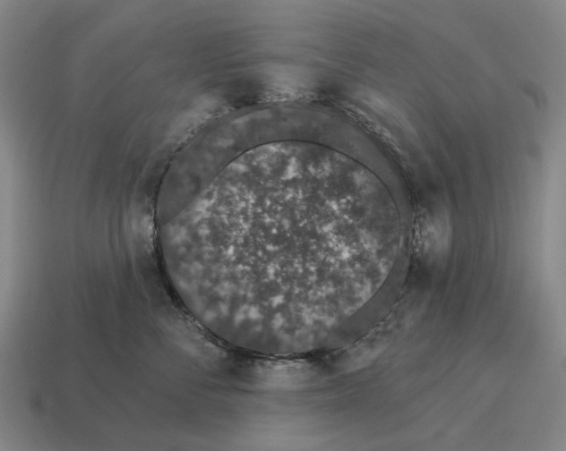 X0000115110716200911101606