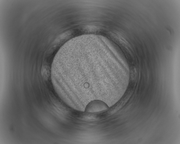 X0000115110718200911101606