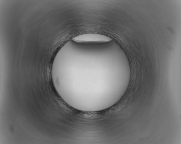 X0000115110720200911101606