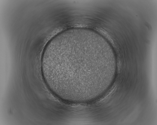 X0000115110721200911101605