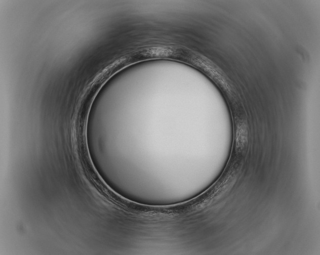 X0000115110722200911101605