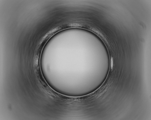 X0000115110723200911101605