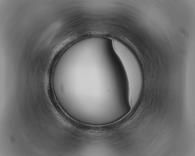 X0000115110725200911101605