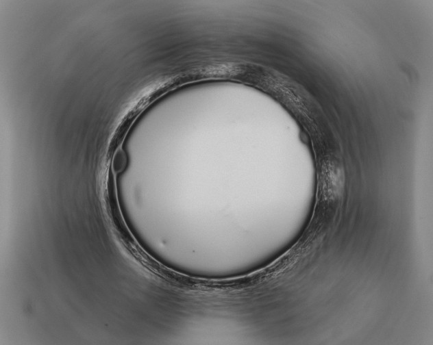 X0000115110726200911101605