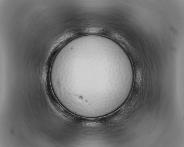 X0000115110730200911101605
