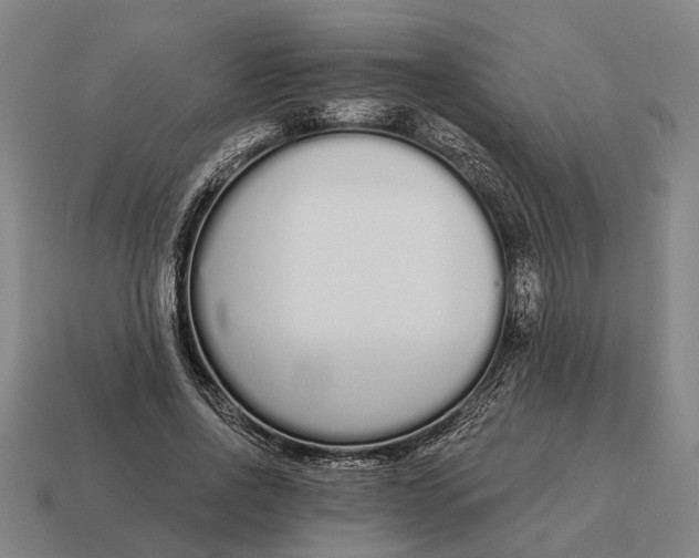 X0000115110734200911101605