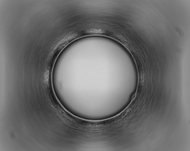 X0000115110735200911101605