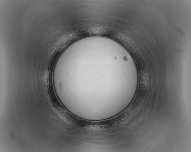 X0000115110738200911101605