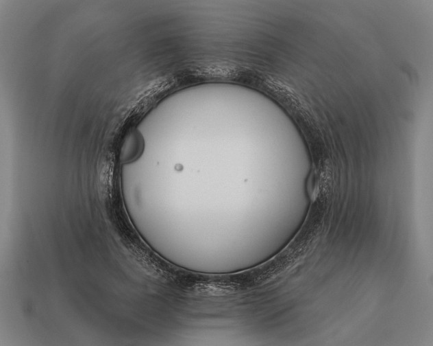 X0000115110739200911101605