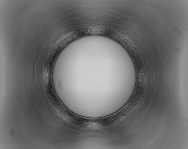 X0000115110741200911101605