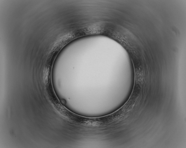 X0000115110742200911101605