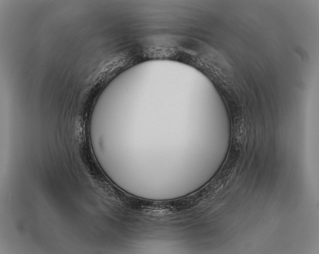 X0000115110743200911101605
