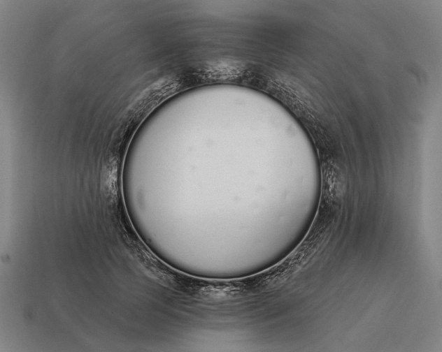 X0000115110745200911101605