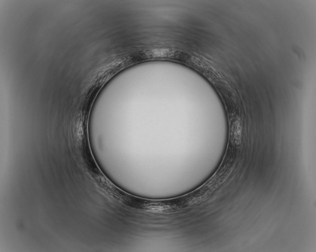 X0000115110746200911101605