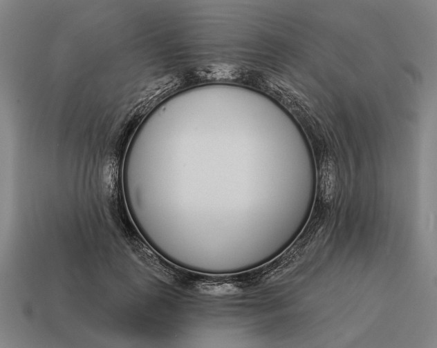 X0000115110747200911101605