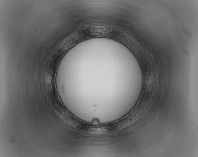 X0000115110749200911101605