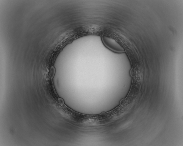 X0000115110750200911101605