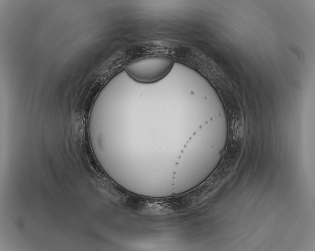 X0000115110753200911101605