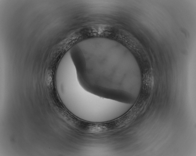 X0000115110754200911101605